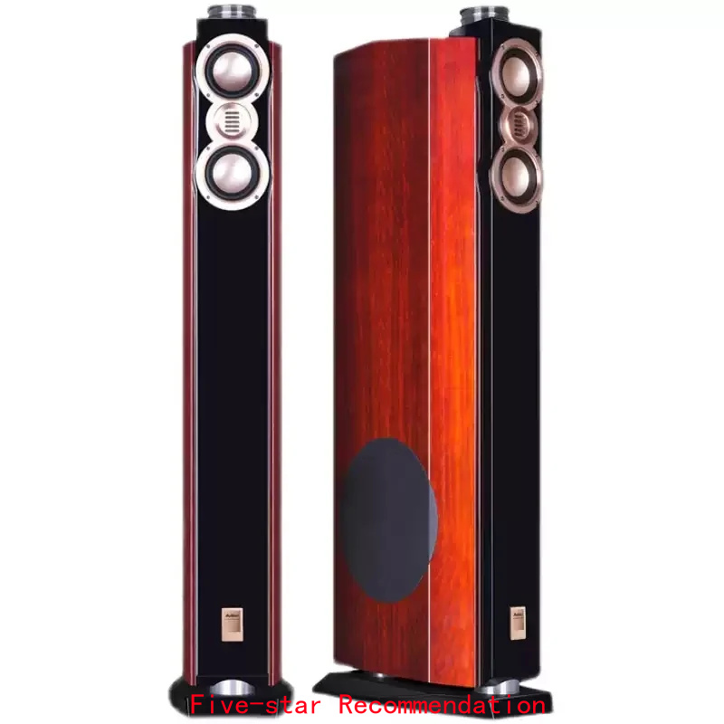 Home Cinema High End - DX-2 High-End Vloerstaande Luidsprekers, 10 inch